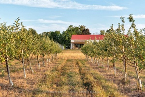 Loch Mo r Cider Company is a thriving, award winning cidery nestled on the picturesque Danforth Ridge in Hillier, one of Prince Edward Countys renowned wine and cider regions.