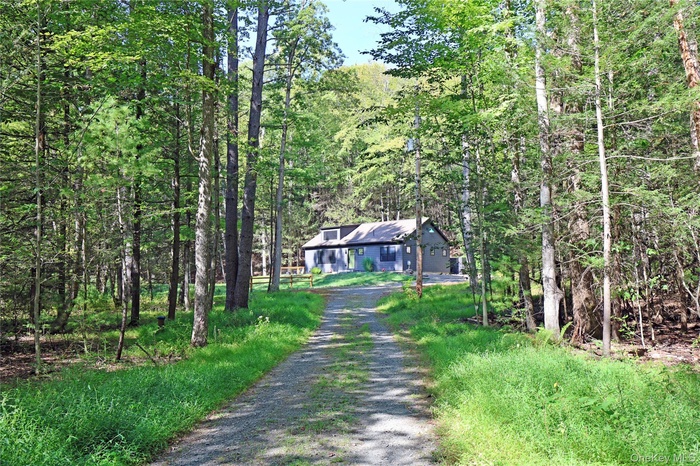 View of dirt / gravel road featuring a wooded view