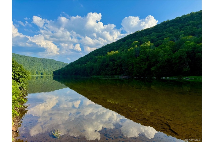 Water view featuring a forest and a mountain backdrop