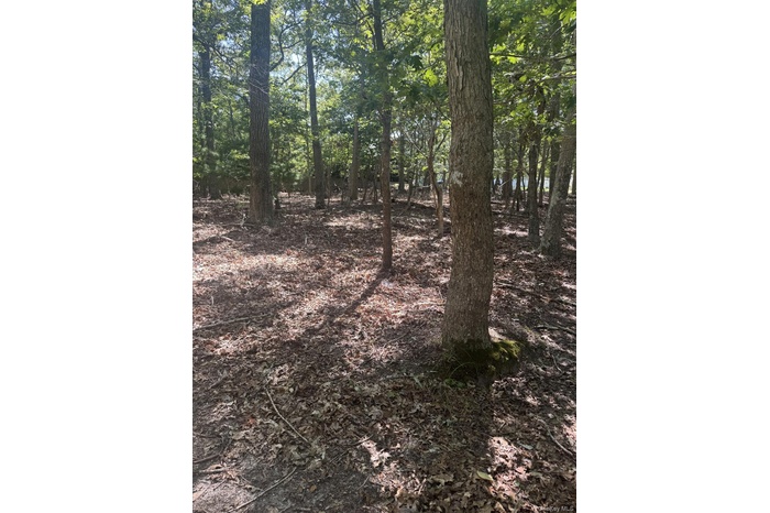 View of undeveloped land