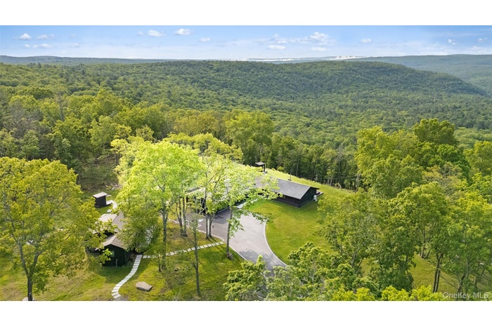 Drone / aerial view of a forest