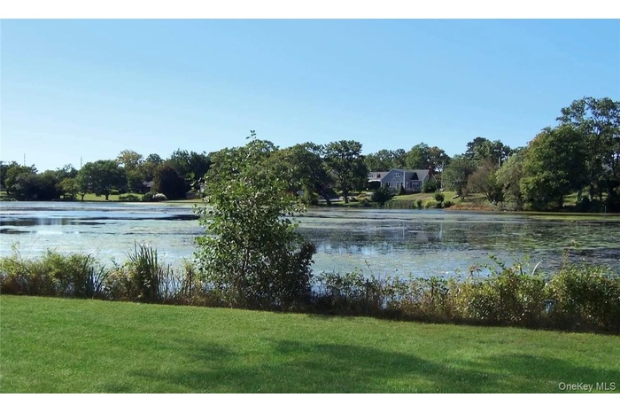 Water view