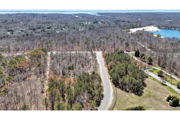 Aerial view featuring a water view and a wooded view