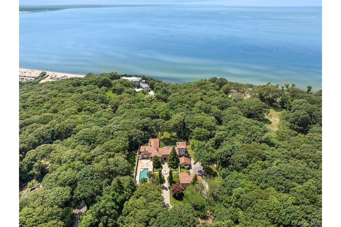 Aerial view of a forest and a large body of water