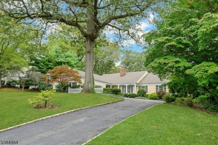 Front yard