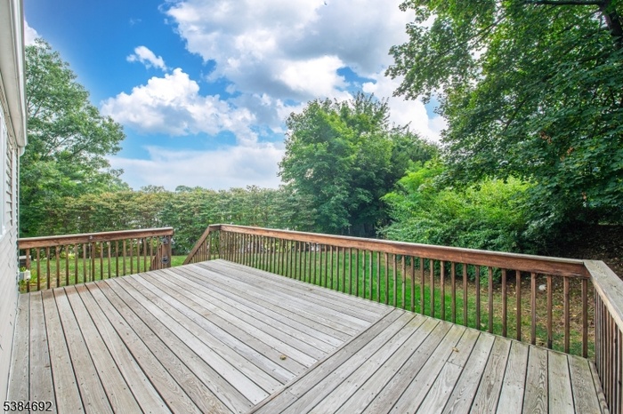 Fantastic Back Deck