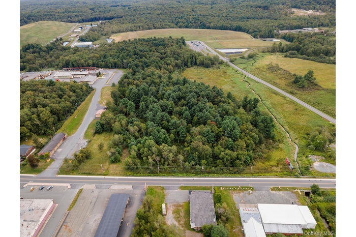 Drone / aerial view of a forest