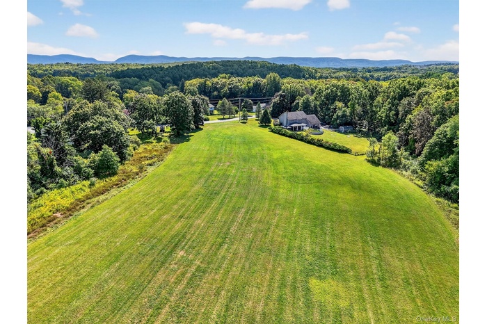 Aerial view of a forest