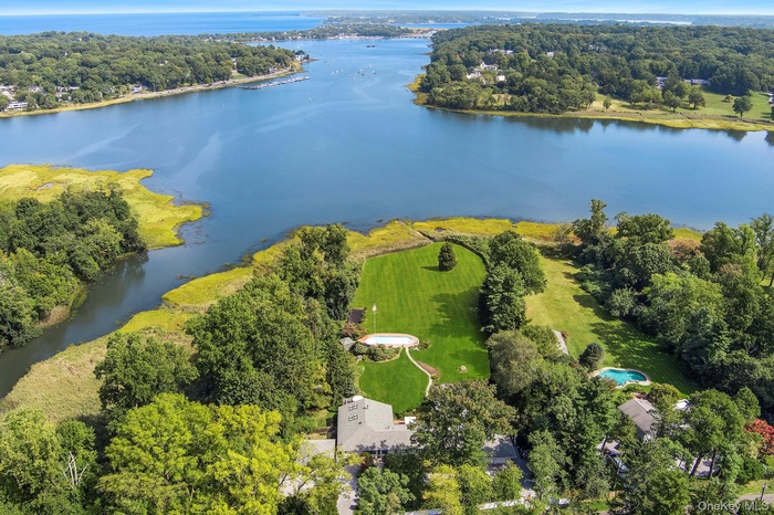 Drone / aerial view with water view