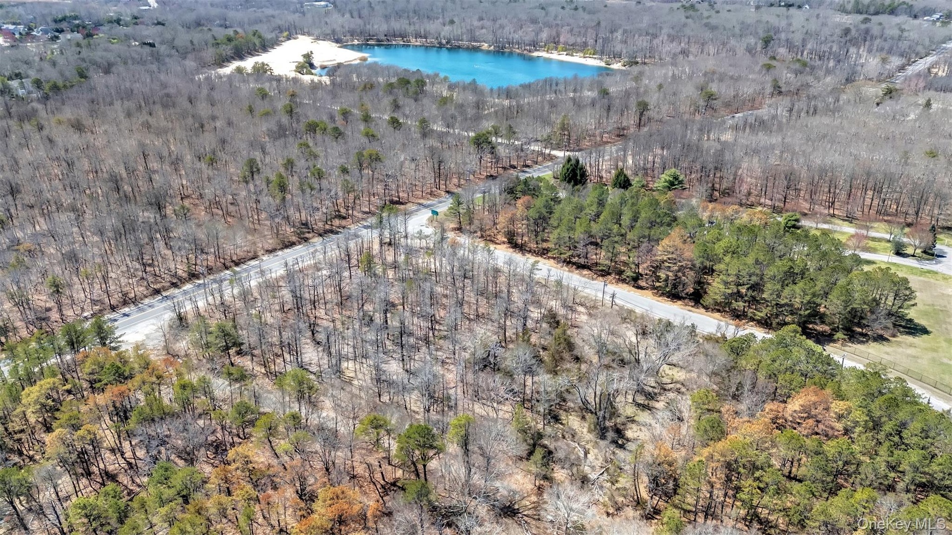 Bird's eye view with a forest view and a water view