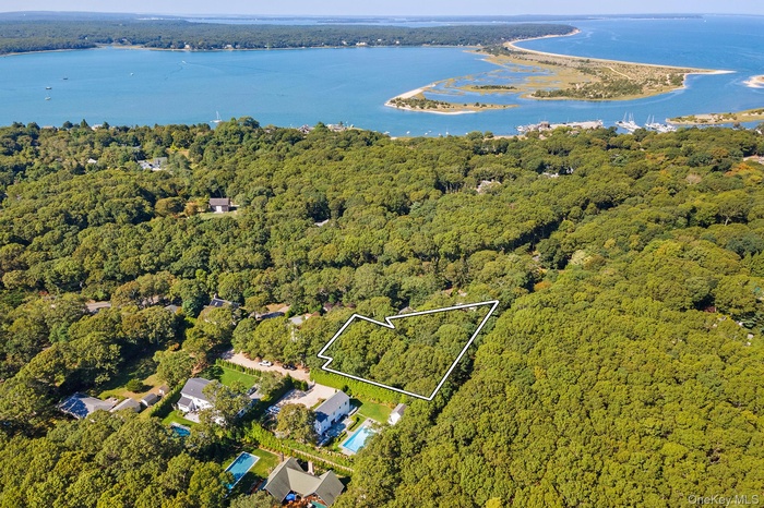 Aerial view of property and surrounding area featuring a heavily wooded area and property parcel outlined