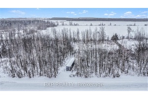 Don't miss this rarely available wooded treed lot of 1.