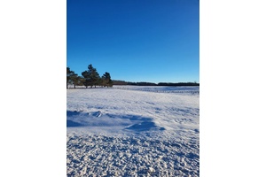 Scenic 1. 13 Acre Lot on the Edge of Dobbinton !
