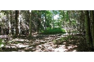 The complete 102 acres is a bush lot, with the back half having excellent timber that could be harvested.