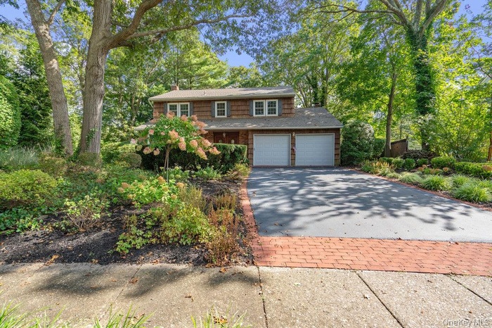 Traditional-style house with driveway, a chimney, and a garage