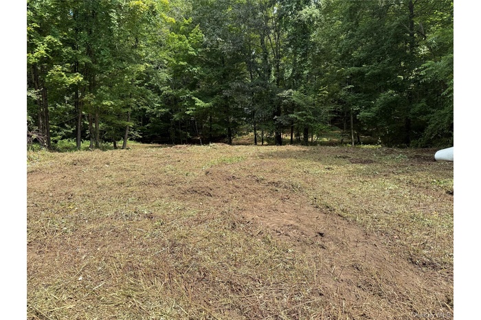 View of cleared property