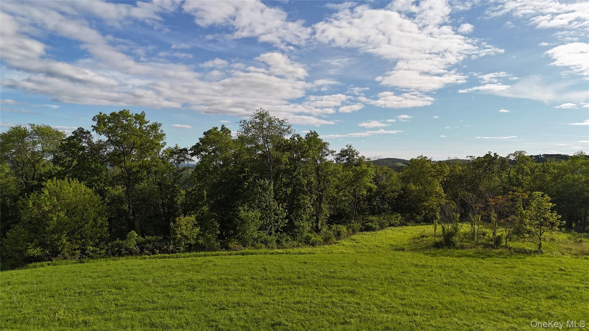 View of woods