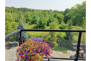 Call It Home ! Ravine Lot Beauty !