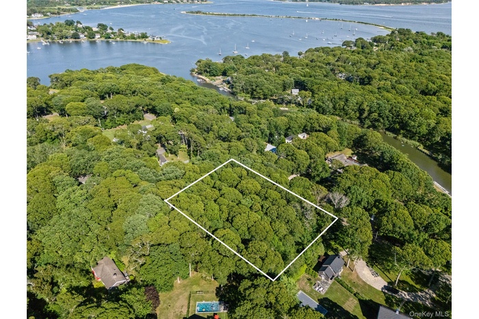 Aerial overview of property's location with a heavily wooded area and property boundaries highlighted