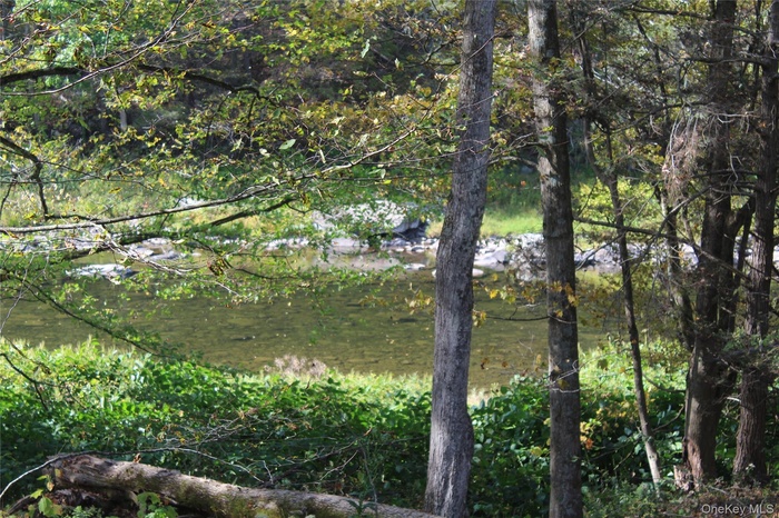 Beaverkill River