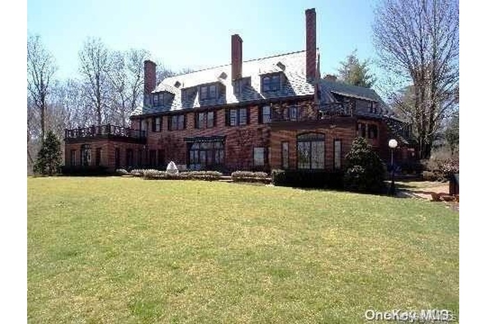 Rear view of house with a yard and a chimney