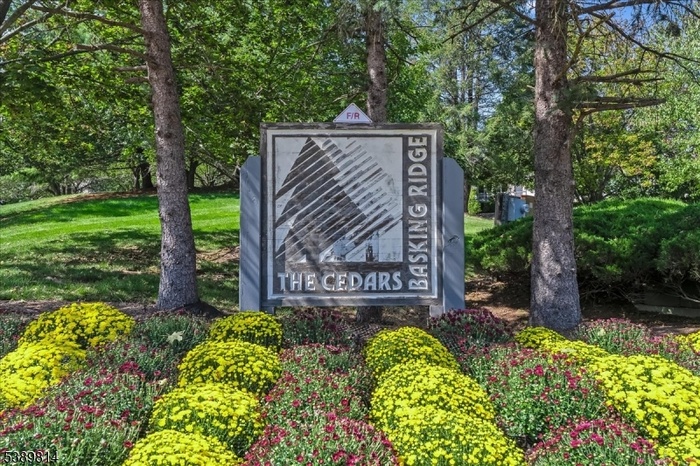 The Cedars