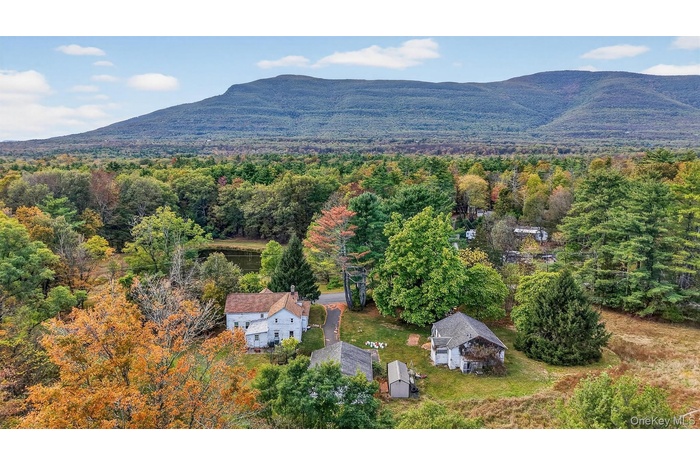 Bird's eye view of a forest and a mountainous background