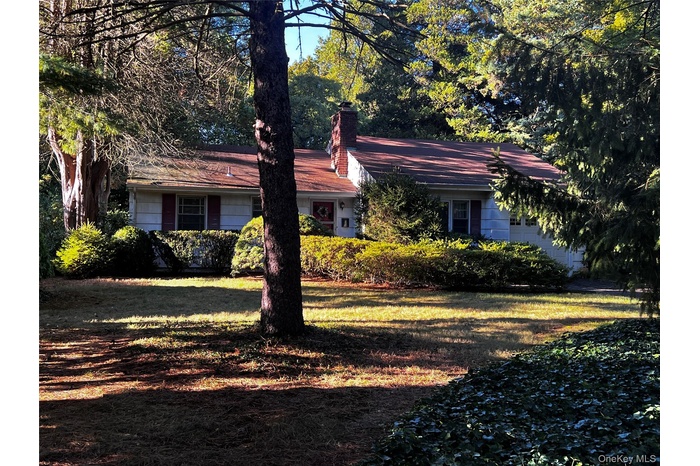 View of front of home with a chimney and a front lawn