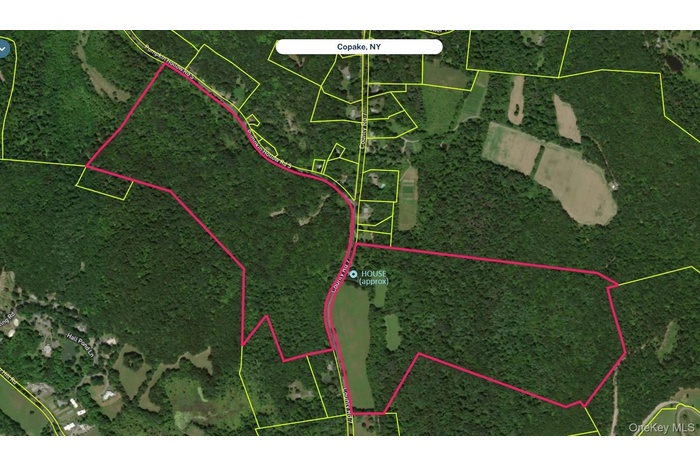 Aerial view of 200-acre tax lot with approximate location of house on site
