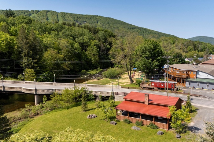 Bird's eye view of a mountainous background and a heavily wooded area