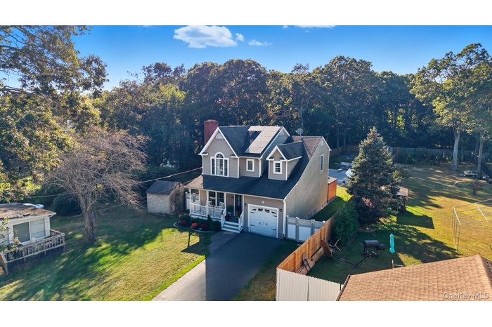 Bird's eye view of a forest