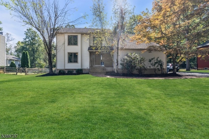 Front View