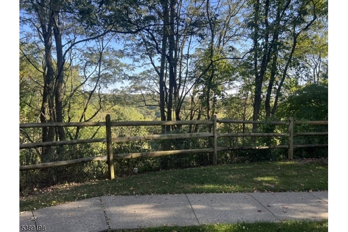 View from patio