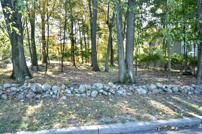 View from road