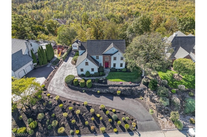 Aerial View/ Drone Shot