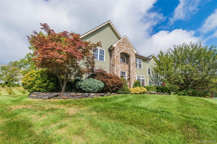 Traditional-style house with stone siding and a front lawn