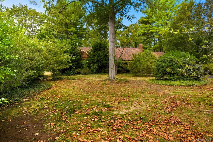 View of grassy yard with view of scattered trees