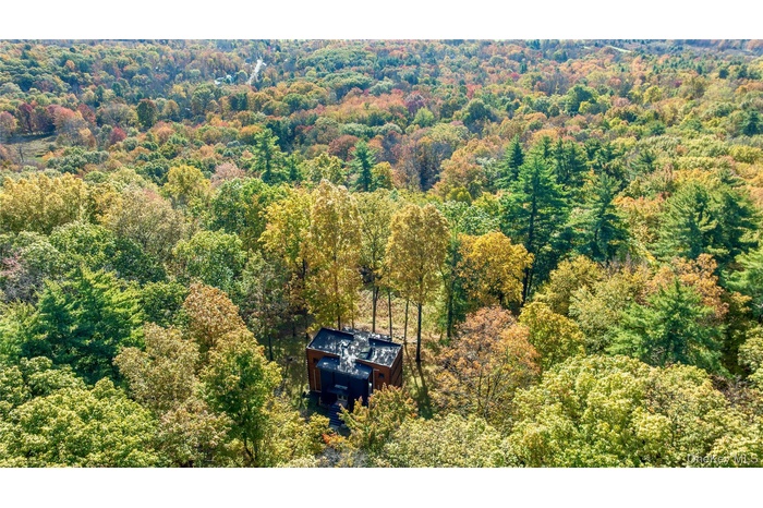 Drone / aerial view of a forest