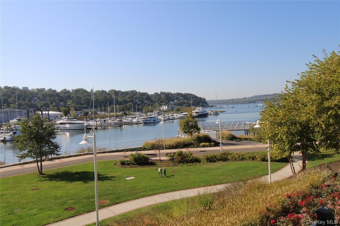 Water view featuring numerous boat docks