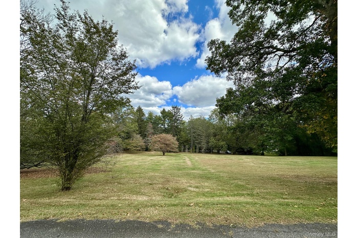 View of green lawn