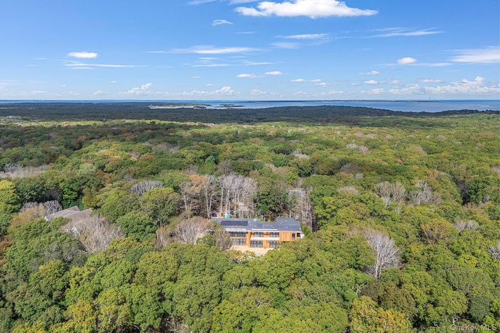 Aerial overview of property's location featuring a heavily wooded area and a large body of water