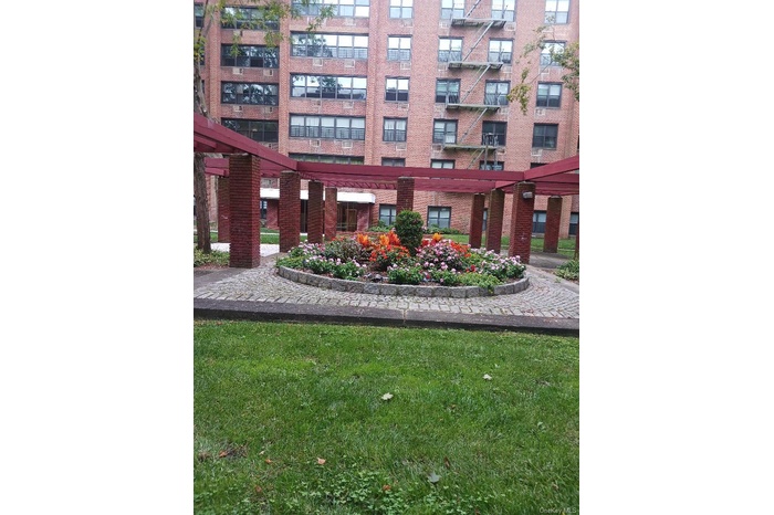 View of community featuring a yard