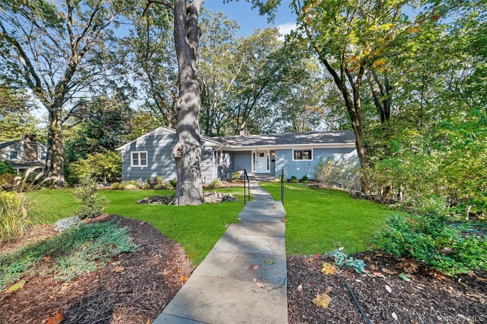Ranch-style home with a front yard, view of scattered trees, and brick siding