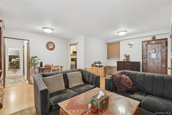 Living room featuring wood finished floors and radiator