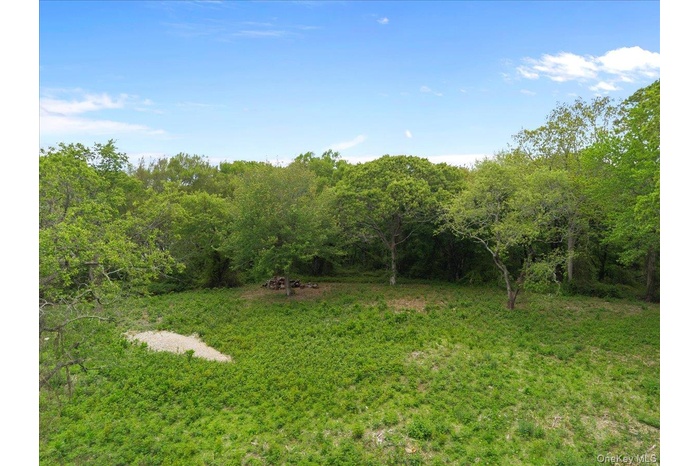 View of yard featuring a view of trees
