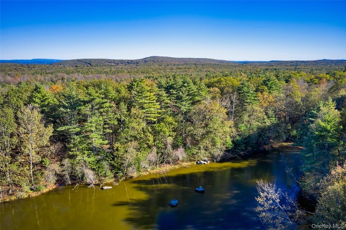 Bird's eye view of a nearby body of water and a forest
