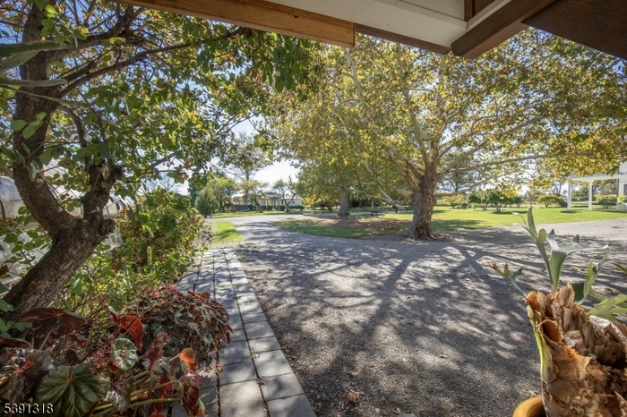 View from the front door