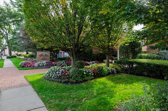 View of green lawn