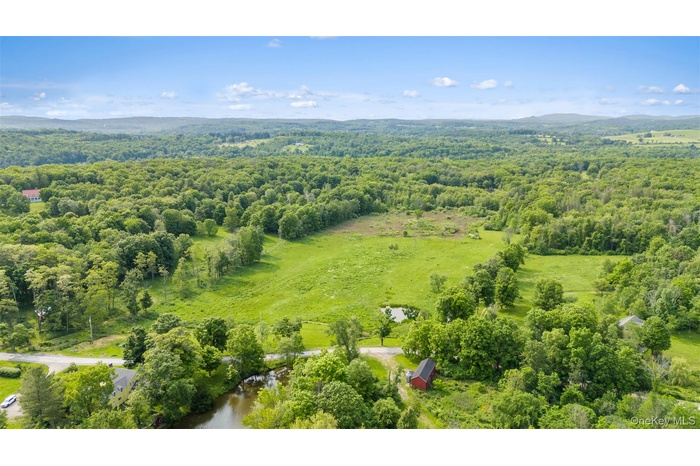 Bird's eye view of a forest