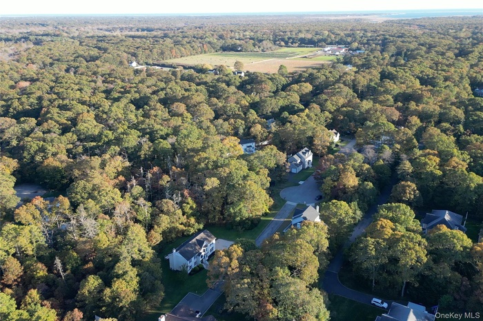 Aerial view of property's location featuring a heavily wooded area
